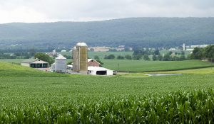 commercial farm insurance with BSMW